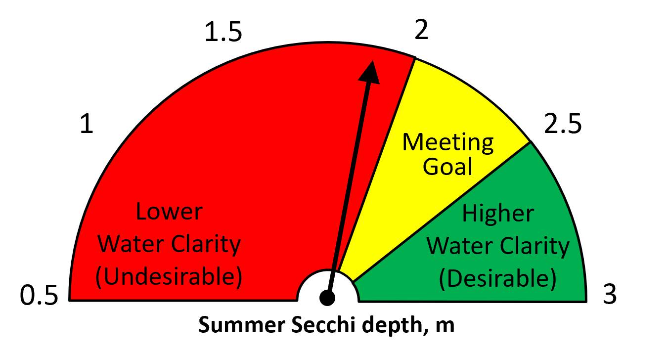 Summer 2023 Secchi disk depth = 1.9 m.